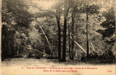 Bois de Vincennes - Cyclone du 16 juin 1908 - Route de la Ménagerie - Effets de la Rafale dans un Fourré à Nogent-sur-Marne