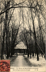 Le Bois de Boulogne en hiver - Un refuge sous la Neige à Paris 16e