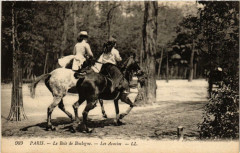 Carte postale ancienne Le Bois de Boulogne - Aux Acacias
                                                                     à Paris 16e
                                