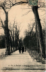 Bois de Boulogne - Allée des Acacias à Paris 16e
