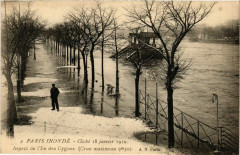Carte postale ancienne Paris Inondé - Cliché 28 Janvier 1910 - Aspect de l'Ile des Cygnes
                                                                     à Paris 15e
                                