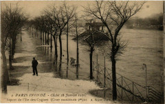 Carte postale ancienne Paris Inondé - Cliché 28 Janvier 1910 - Aspect de l'Ile des Cygnes
                                                                     à Paris 15e
                                