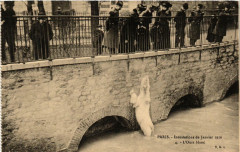 Paris Inondations 4 L'Ours blanc à Paris