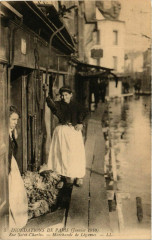 Carte postale ancienne Inondations de Paris (Janvier 1910) - Rue Saint-Charles - Marchande de Légumes
                                                                     à Paris 15e
                                