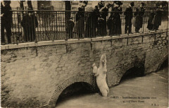 Paris Inondations 4 L'Ours blanc à Paris