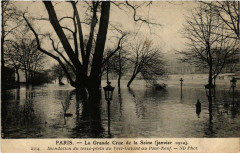 La Grande Crue de la Seine 224 Vert-Galant au Pont-Neuf