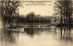 La Crue de la Seine - Bois de Boulogne - Pelouse près du Moulin de Longchamp à Paris 16e