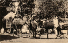 Paris Expo Maures et chameux à Paris