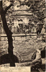 Paris 5e Jardin des Plantes la fosse aux Ours ed. V.P. Paris -
																					75005 Paris 5e
																			