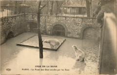 Carte postale ancienne Paris Crue de la Seine 1910 Jardin des Plantes Fosse aux Ours
                                                                     à Paris
                                