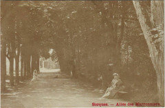 Carte photo Sorques Allée des Marronniers