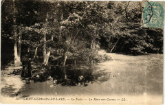 Saint-Germain-en-Laye - La Foret - La Mare aux Cannes à Saint-Germain-en-Laye