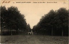 Boissy-Saint-Leger - Chateau de Gros-Bois - Avenue de l'Ecole à Boissy-Saint-Léger