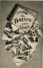 Souvenir de Boissy-Saint-Leger -
																					94470 Boissy-Saint-Léger
																			