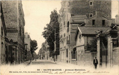 Saint-Mande Avenue Herbillon à Saint-Mandé