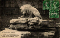 Saint-Etienne Le Lion blesse par un serpent à Saint-Étienne