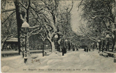 Grenoble Effet de neige au Jardin de Ville à Grenoble