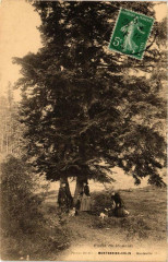 Foret de Ponciat