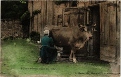 Fermiere Bressanne trayant une vache