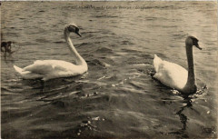 Aix-les-Bains Le Lac du Bourget à Aix-les-Bains