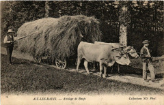 Aix-les-Bains - Attelage de Boeufs à Aix-les-Bains