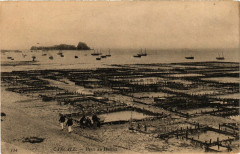 Cancale - Parcs de Huitres à Cancale