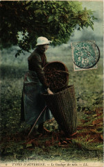 Types d'Auvergne - Le Gaulage des noix - Folklore -
													43 Haute Loire
												
