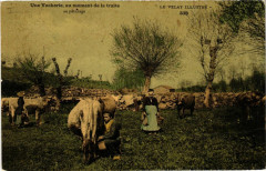 Velay - Une Vacherie - Au moment de la traite - Folklore