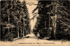 Saint-Bonnet-le-Froid - La Route de Tence à Saint-Bonnet-le-Froid
