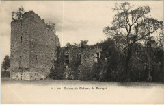 Ruines du Chateau du Bourget
