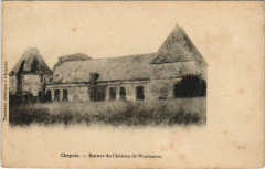 Chepoix Ruine du Chateau de Warmaise