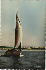 Fort-Mahon Les Régates