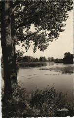 Peronne Les Etangs à Péronne