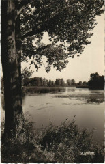 Peronne Les étangs à Péronne