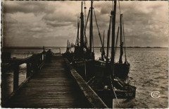 Le Hourdel Le Port -
													80 Somme
												