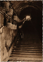Champagne Pommery & Greno Reims Le grand escalier (116 marches) à Reims