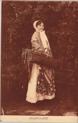 Charollaise - Femme - Type -
													71 Saône et Loire
												