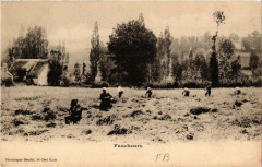 Faucheurs -
													46 Lot
												