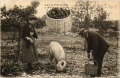 Les Gaveurs de Truffes