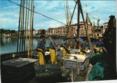 St Jean de Luz le retour de la peche France