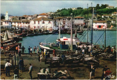 St Jean de Luz Marche aux Poissons France