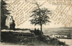 Champtoceaux La Promenade du Choteau -
													49 Maine et Loire
												