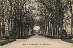 Avenue du Chateau de la Loire par Segre