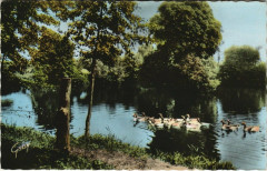 Pre-en-Pail - Etang du Bois-Gaude