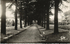 Haute Follis - Allee des Cedres -
													53 Mayenne
												