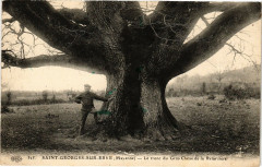Saint Georges sur eve.- Le tronc