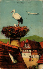 Nid de Cigagnes et Alsace -
													68 Haut Rhin
												