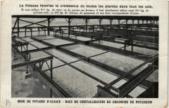 Mine de Potasse d'Alsace Bacs de Cristallisation du Chlorure de