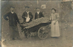 Carte photo Pomme de Terre marchands