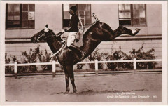 Saumur Ecole de Cavalerie Une Groupade à Saumur